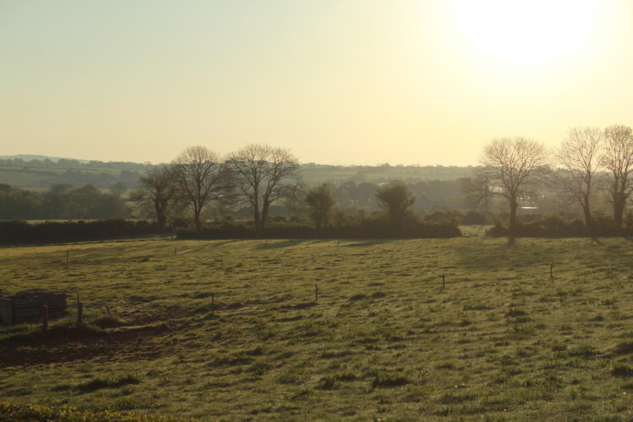 Grey Gables Farmhouse B&B Innishannon Εξωτερικό φωτογραφία